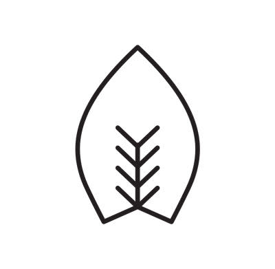 Fuerst Wiacek logo